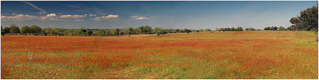 Mixed colors