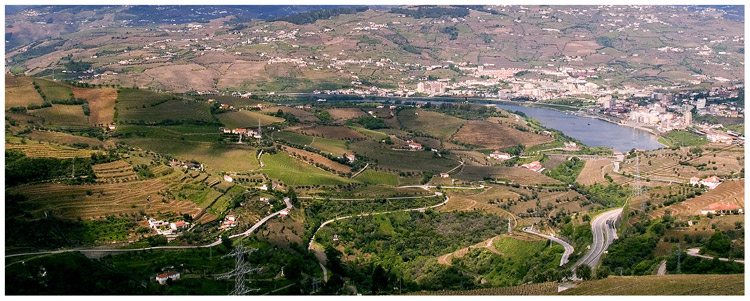 Land of Oporto wine