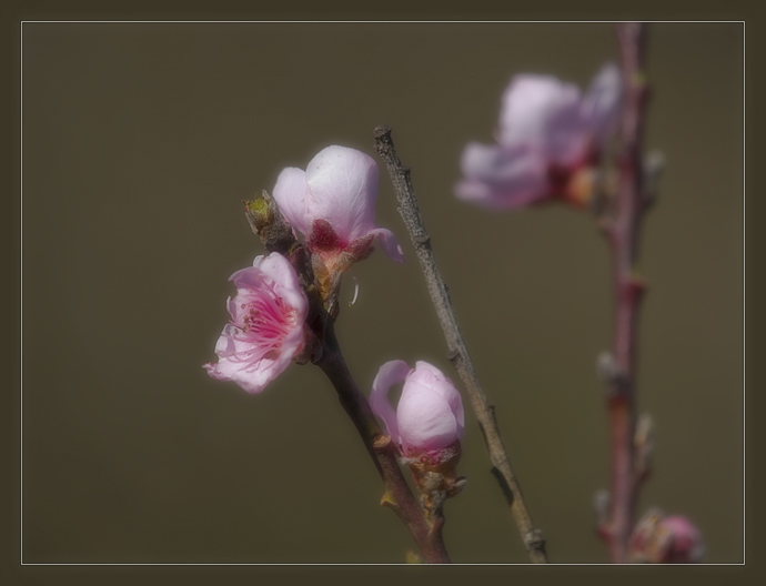 s/t (3)