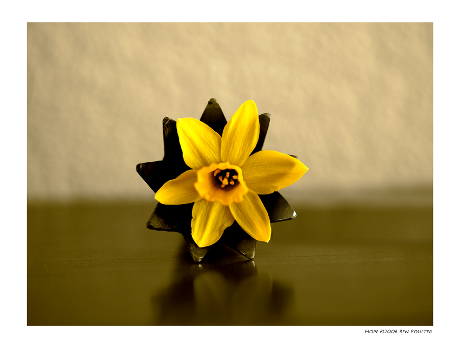 Hope
