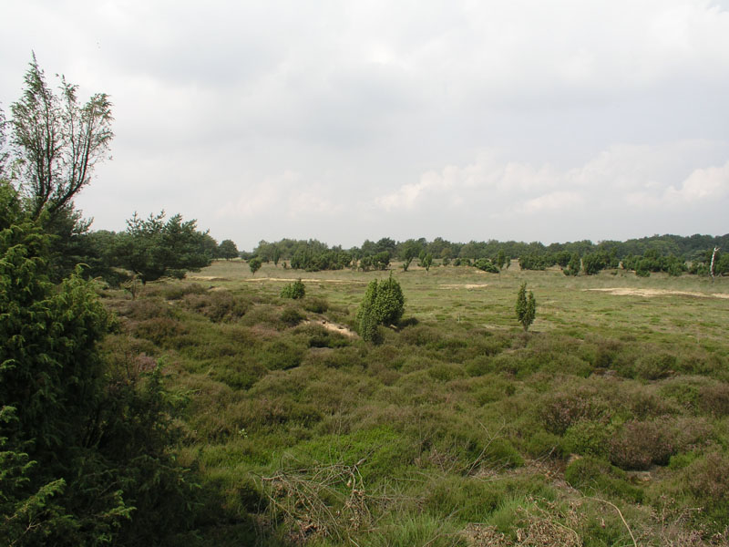 Mantingerveld (2)