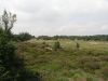 Mantingerveld (2)
