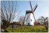Windmill by Chris Can