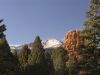 Garden of Gods 2