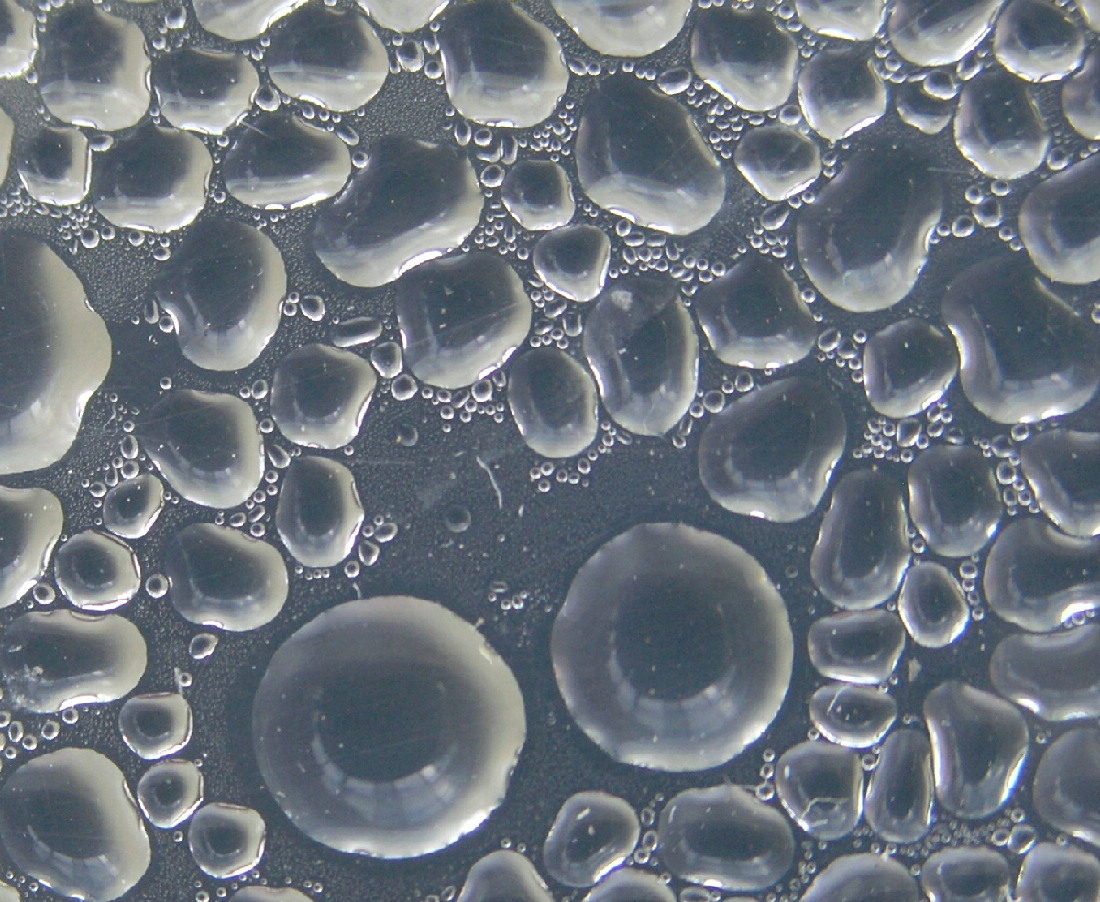 Water Drops