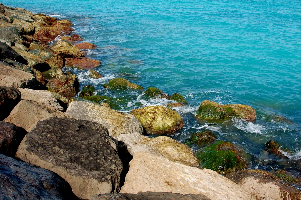 Beach rocks