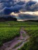 Road to Light by mi lo