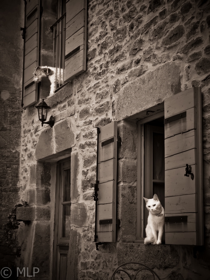 Neighbours