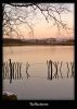 Reflections Too......