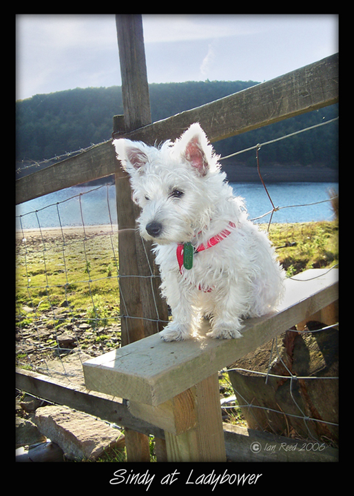 Sindy at Ladybower