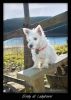 Sindy at Ladybower