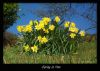 Spring is Here...