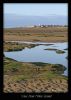 View from Hilbre by Ian Reed