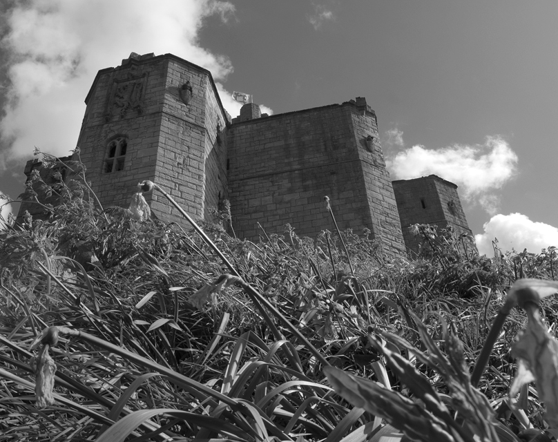 warkworth castle (2)