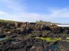 dunstanburgh castle by Andrew Mclean