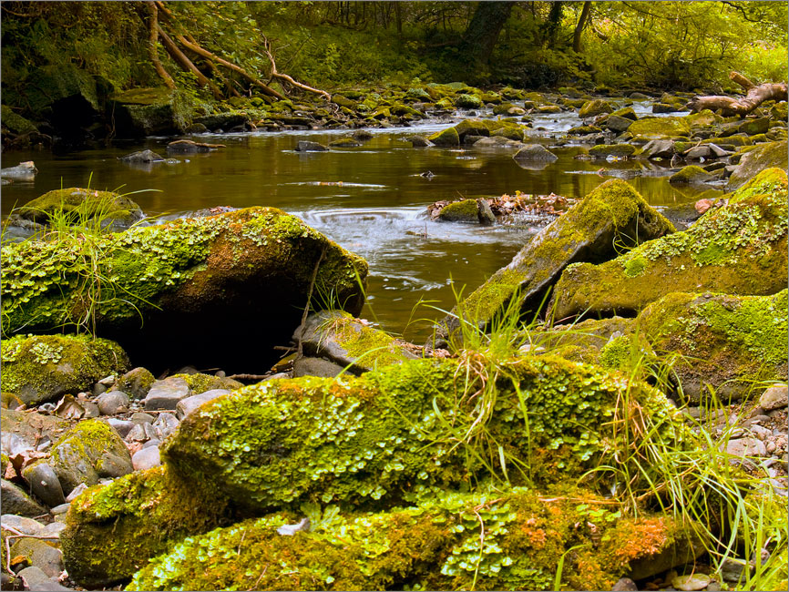 down the river