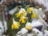 OK! remind me 'Who said it was spring again'