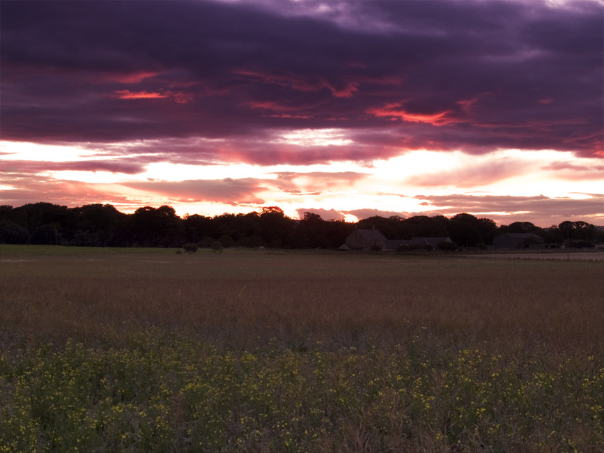 sunset