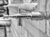b&w macro