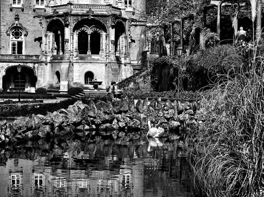 Swam lake at Palace Hotel
