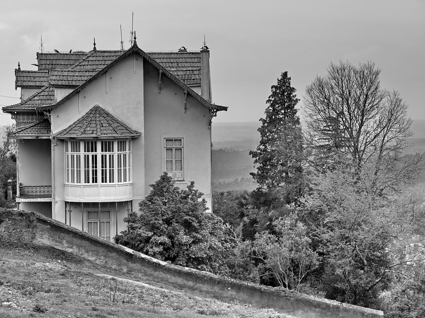 Houses(4)