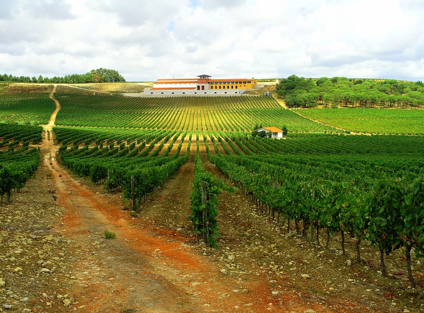 Bairrada