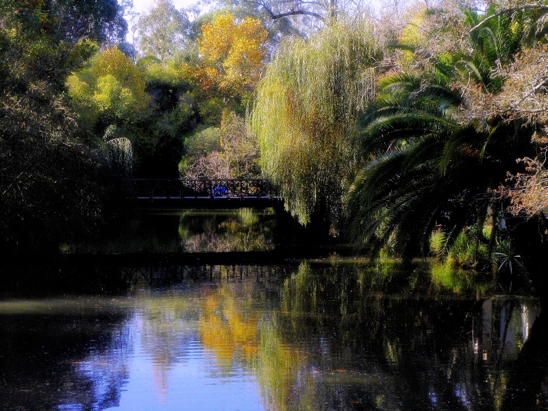 Curia_Park__Lake