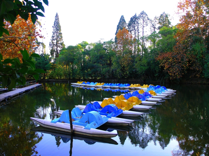 curia park I