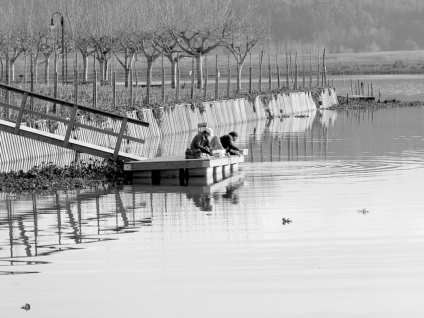 Fishing II