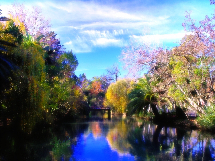Curia_Park