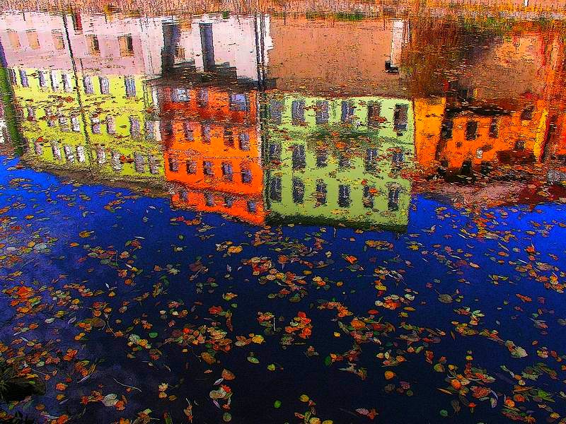 Colours of autumn (fall)