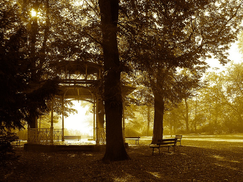 Park in brown