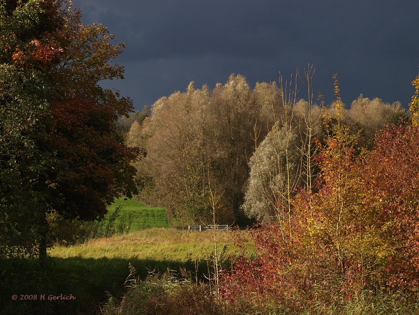 Dark & Light