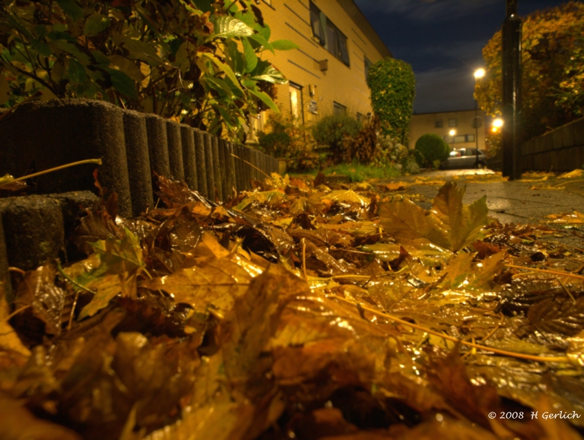 At Night