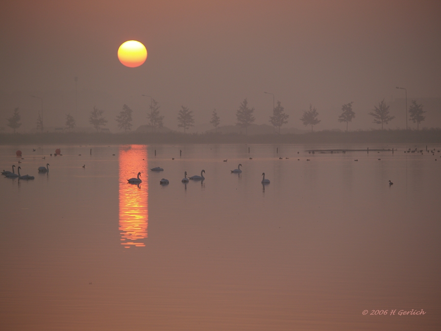 Early In The Morning