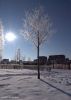 Sunny Winter Morning