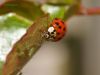 Lunch by Hans Gerlich