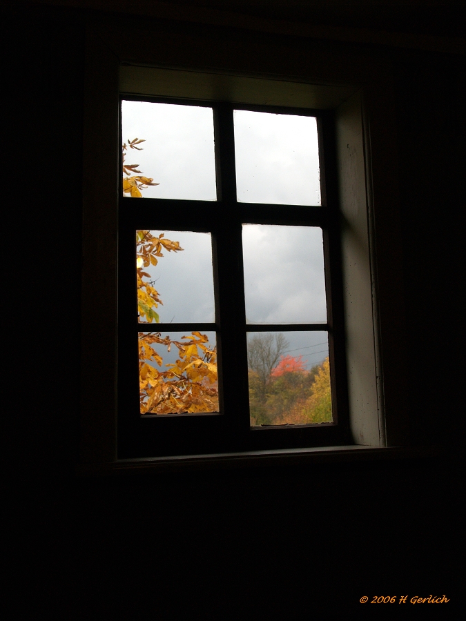 Window