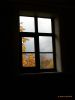 Window by Hans Gerlich