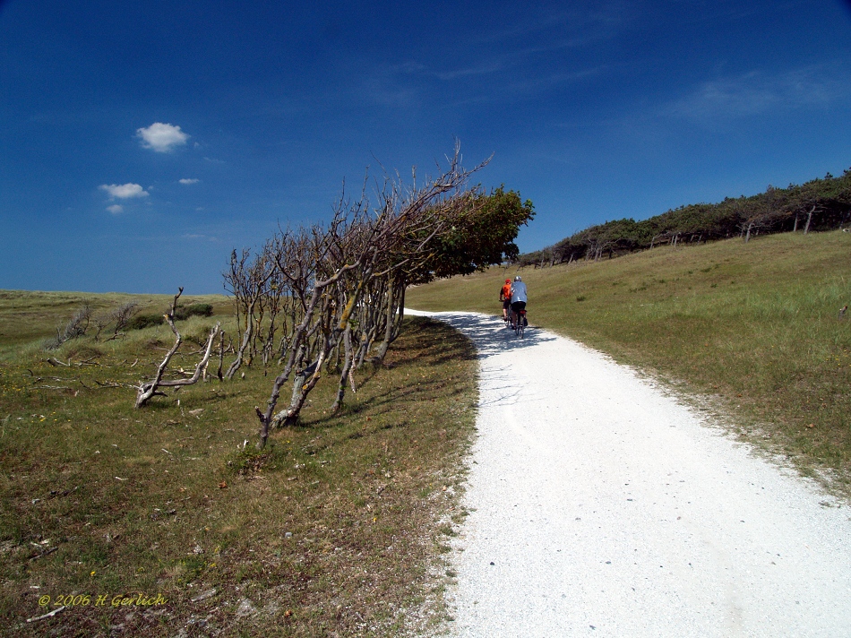 Windy Area