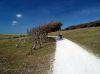 Windy Area by Hans Gerlich