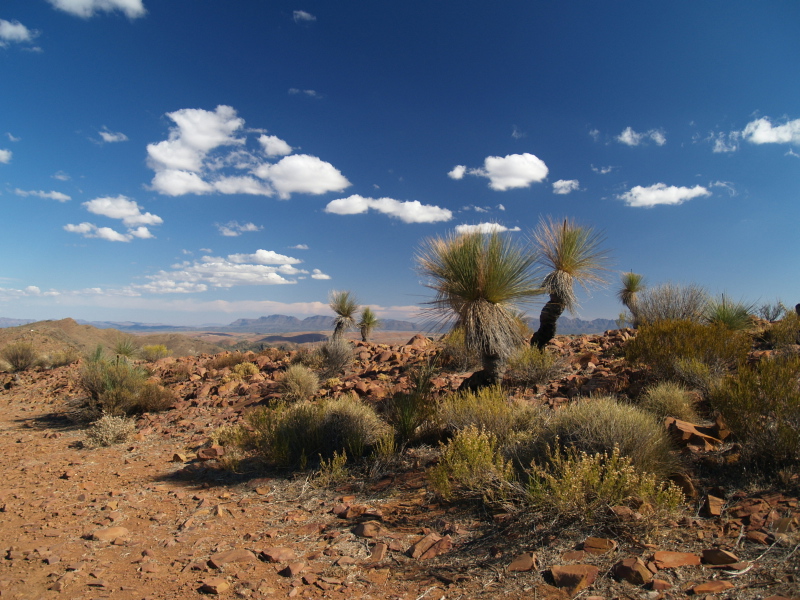 Flinders Ranges South Australia