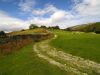 Above Ambleside Cumbria by Kiffin Miller