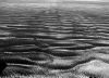 sand by Horacio Di Nunzio