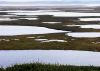 Wetland