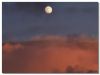 Winter Moon Rise