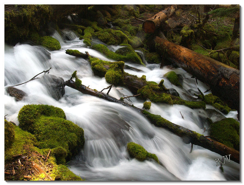 Spring Runoff