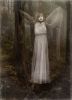 Soul of the forest