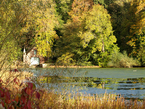 Autumn on Fyvie Loch
