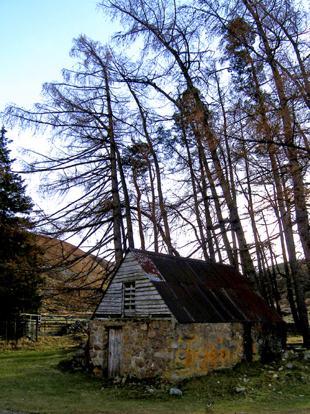 Barn